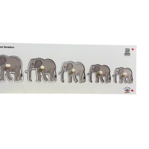 Elephant Seriation
